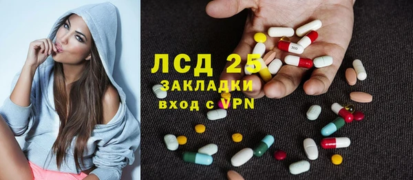 гидра Няндома