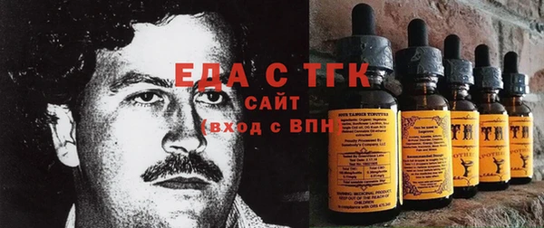гидра Няндома